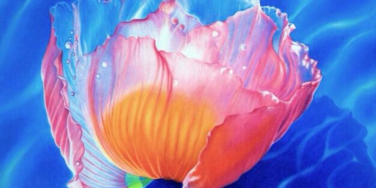 .:KaTE:. 🇦🇺🇺🇸💃🏻💅🏻🦘 banner