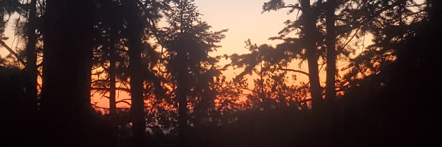 lee_low45's profile banner image