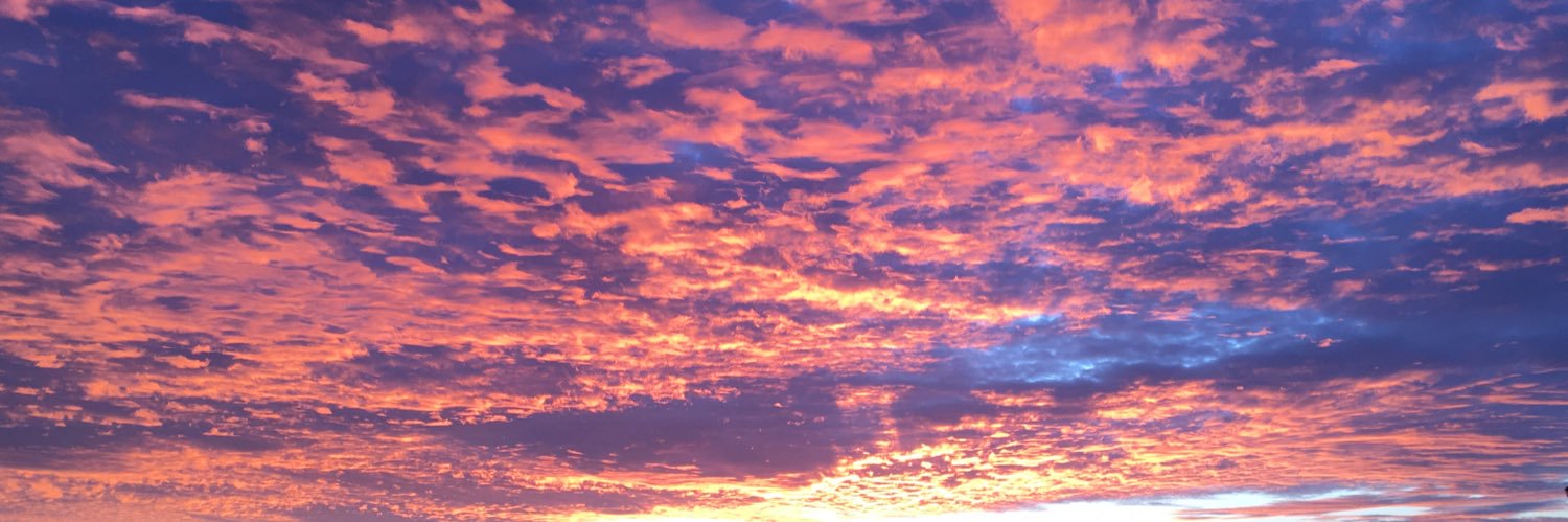 Scott Fillner banner