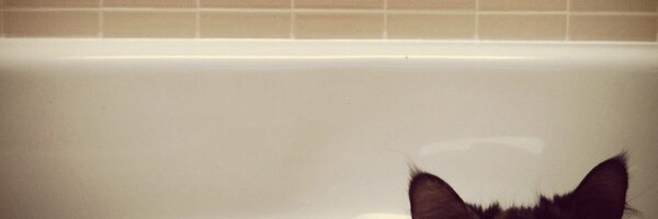 kakeane Profile Banner