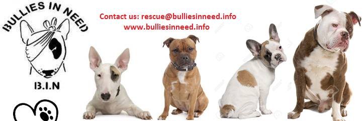 BulliesinNeedUK banner