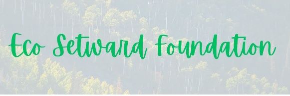 Eco Steward Foundation's banner