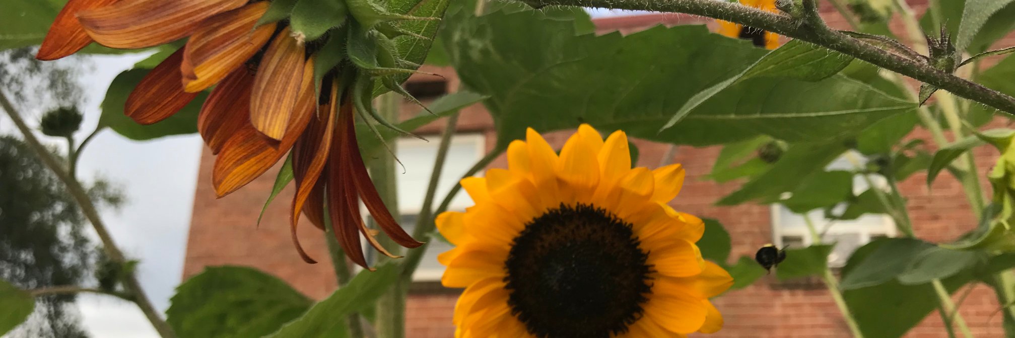 LaceyHalpern's profile banner image