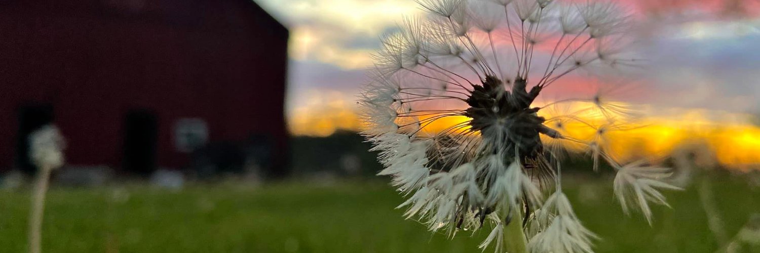 AmyJung8's profile banner image
