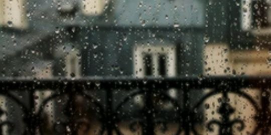 CledgerXoxo's profile banner image