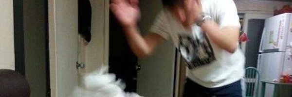 91__tree Profile Banner