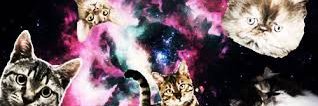 CatsAmerica's profile banner image