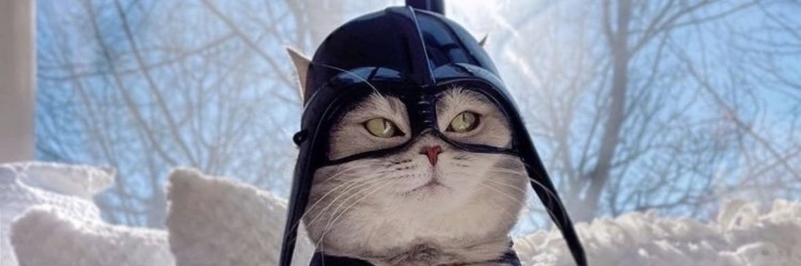 ns_tomang's profile banner image