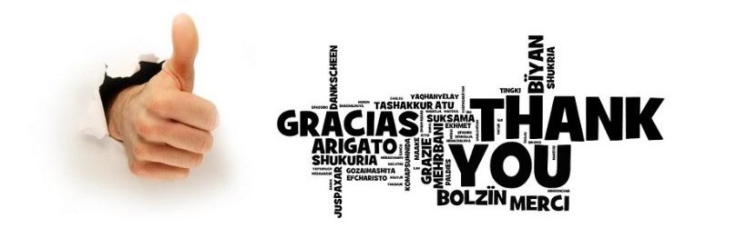 Lula banner