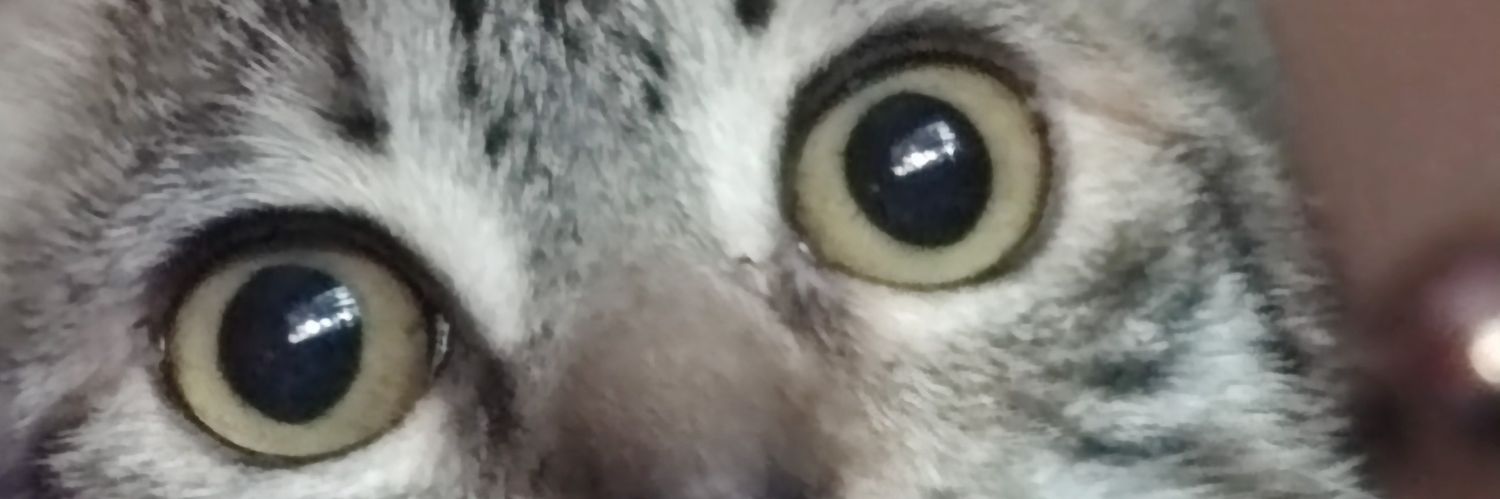 romava27's profile banner image