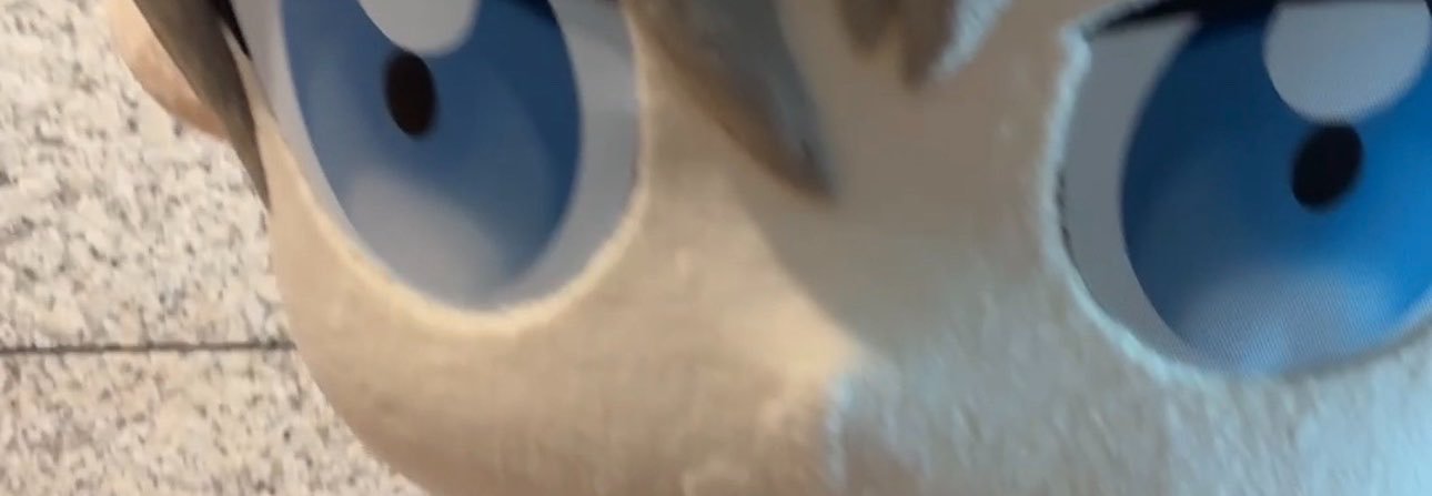 renrenoty's profile banner image