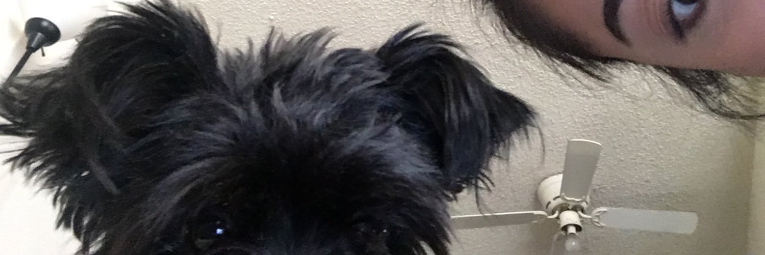 wennndixie's profile banner image