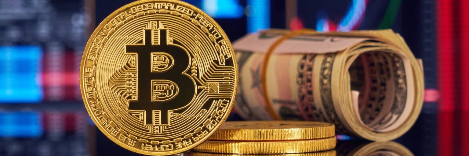 cryptolucer's profile banner image