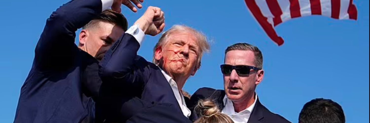 WiserOldGuy🇺🇸🗽🦅 banner