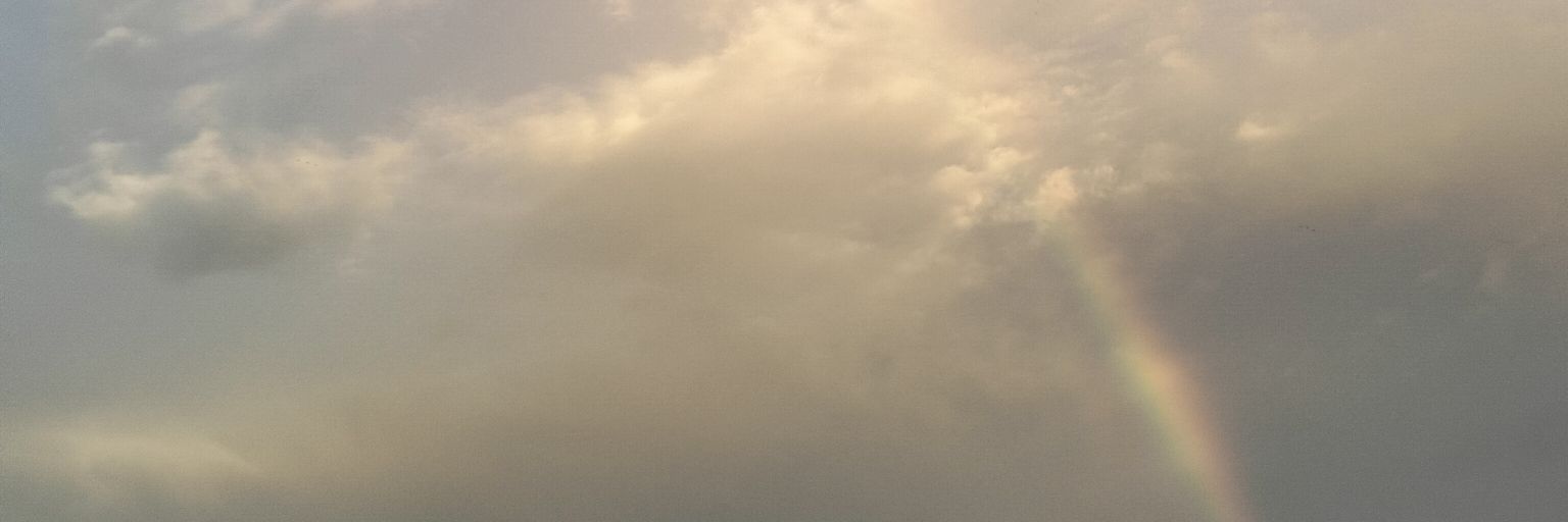 rmtsamarch's profile banner image