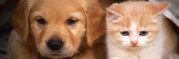 pets4evers Profile Banner