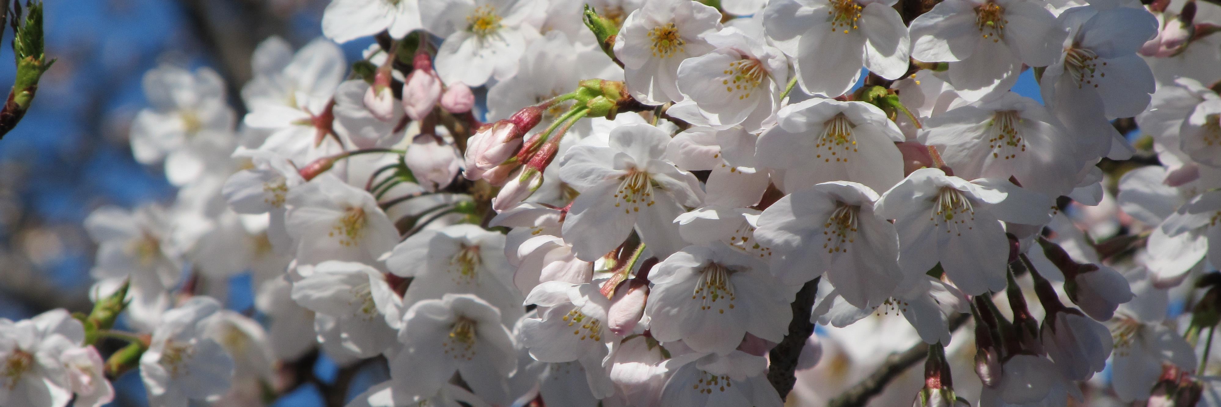 soreton34's profile banner image