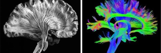 M. Yakup Altuğ banner