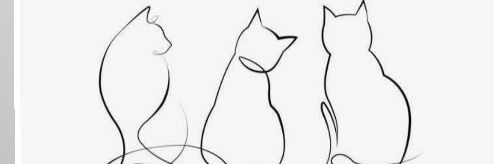 Svjetlana🐱🐾💞 banner
