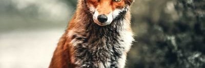 Keyza Valentin banner