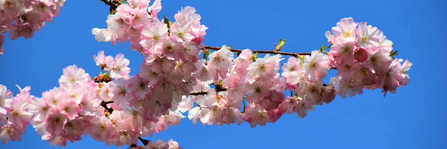 𝕏LIX 409. banner