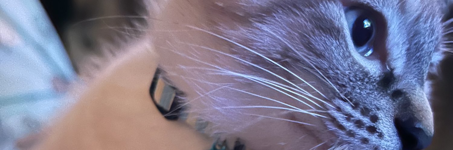 plusle0001's profile banner image