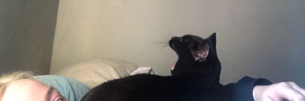 valpaskar Profile Banner