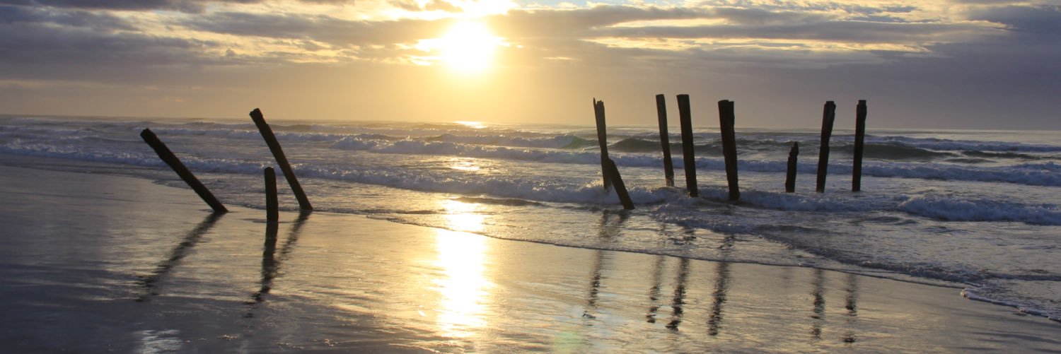 EMShreve's profile banner image