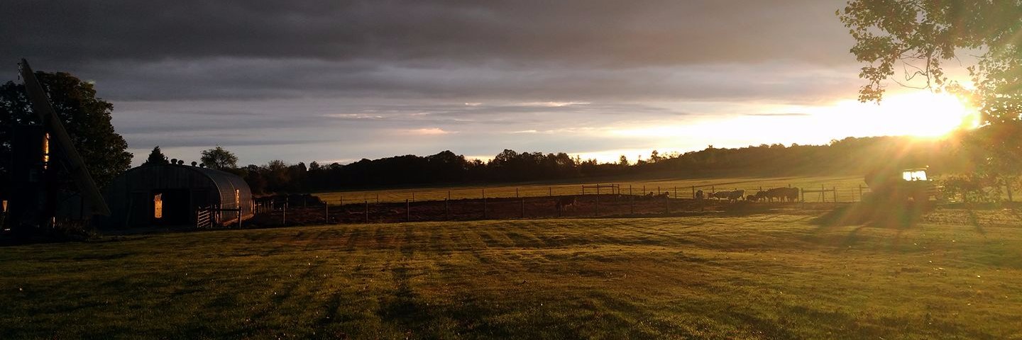 SavourSimcoe's profile banner image