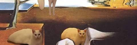 Cece_Carranza's profile banner image