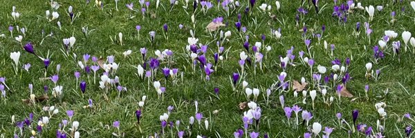 kareemsakka Profile Banner