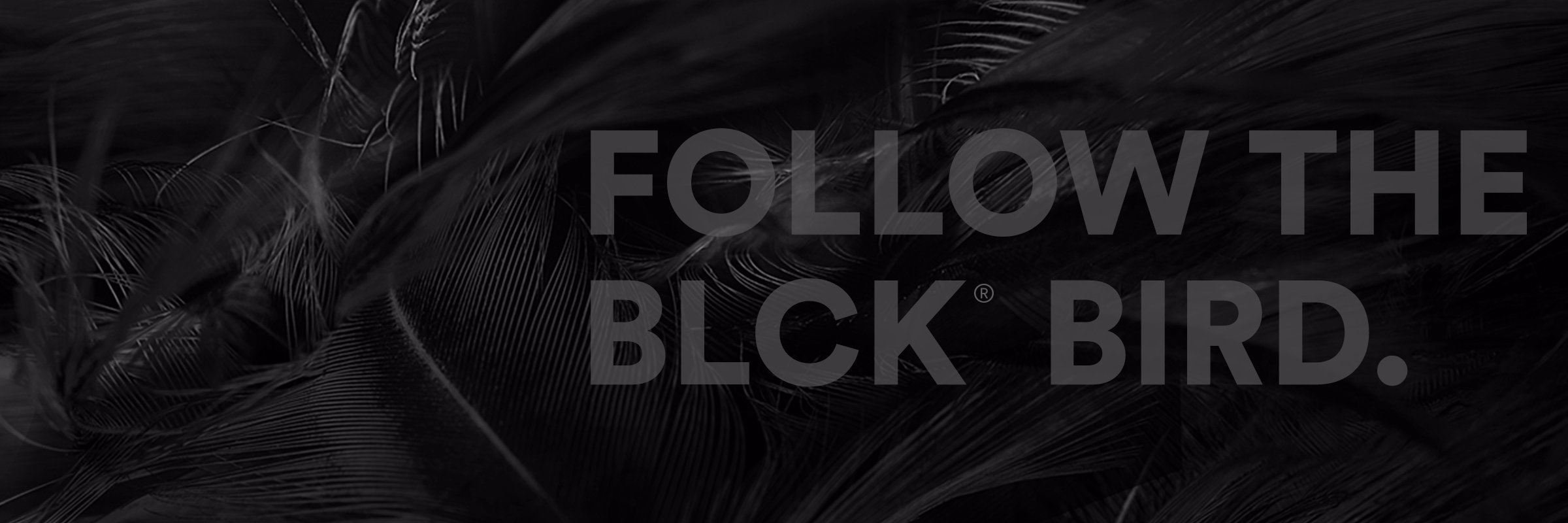 justblackmx's profile banner image
