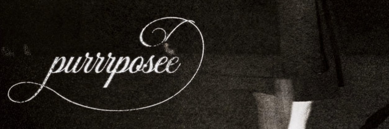 felfortt ꕤ banner