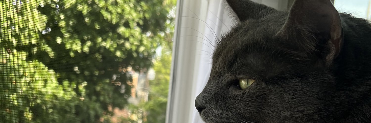 esonns's profile banner image