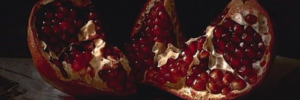 SpringsWrath Profile Banner