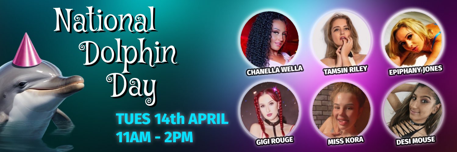 Dolphin Parties banner