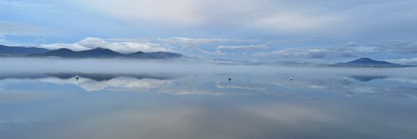 CaDP81 Profile Banner