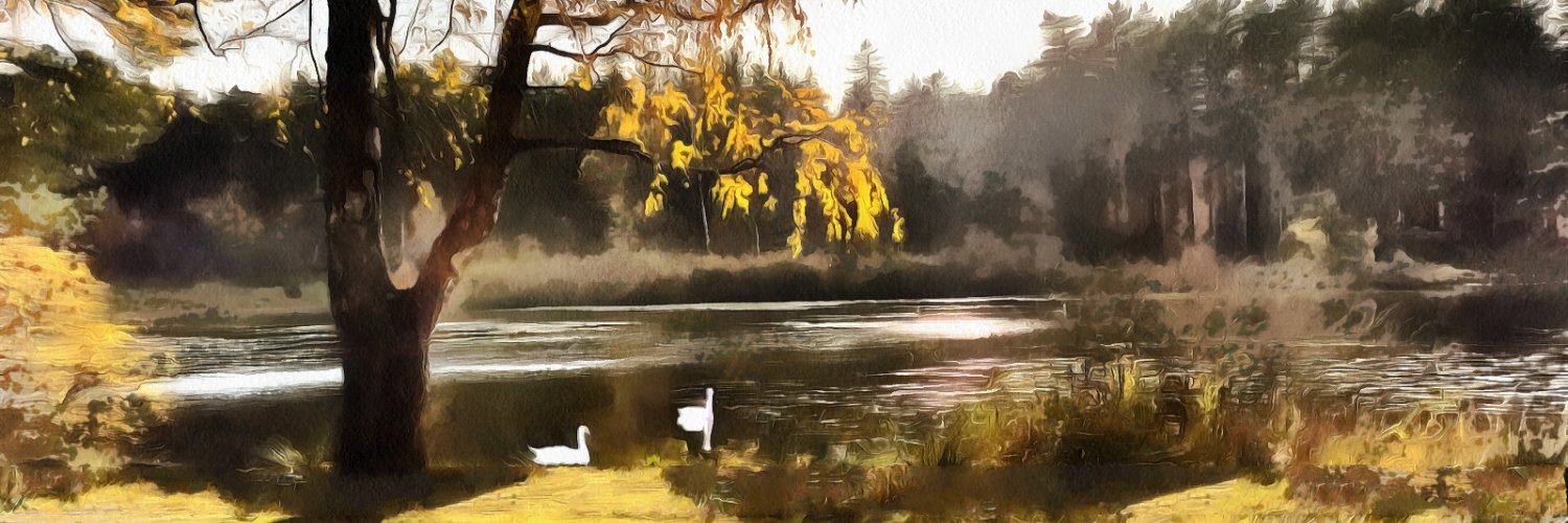 VADISC's profile banner image