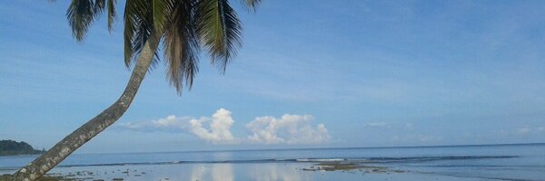 Trinipty Profile Banner