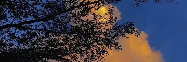 Frdhanda's profile banner image