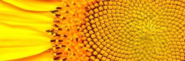 knowemath's profile banner image