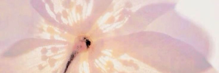 Tree🔞's banner