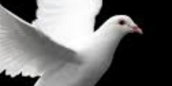 SSyria2013's profile banner image