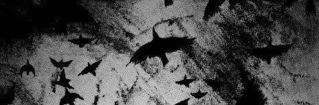 NIGHT RAVEN ARCHER 🏹 banner