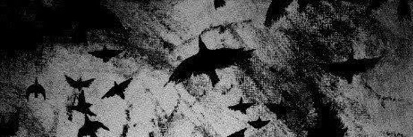 corruptedwind Profile Banner