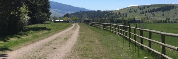 libbymetcalf Profile Banner