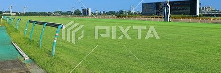 fpimienta's profile banner image