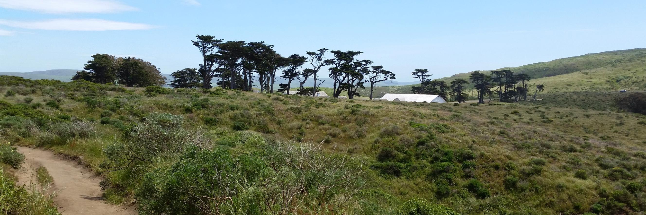 Tinna with two Ns banner