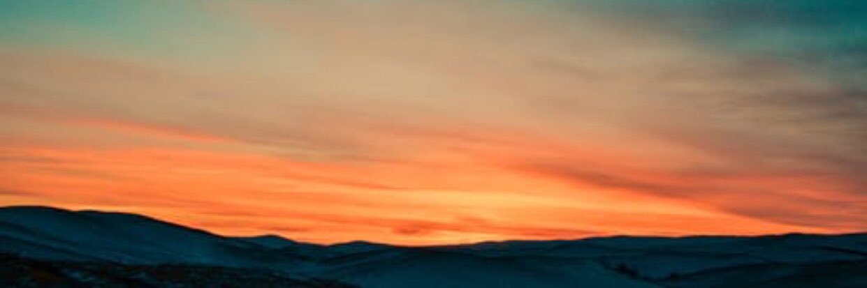 ciaracarroll18's profile banner image