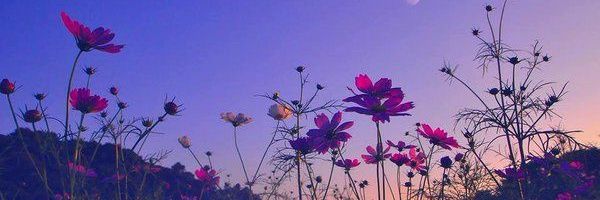 andreitakris's profile banner image